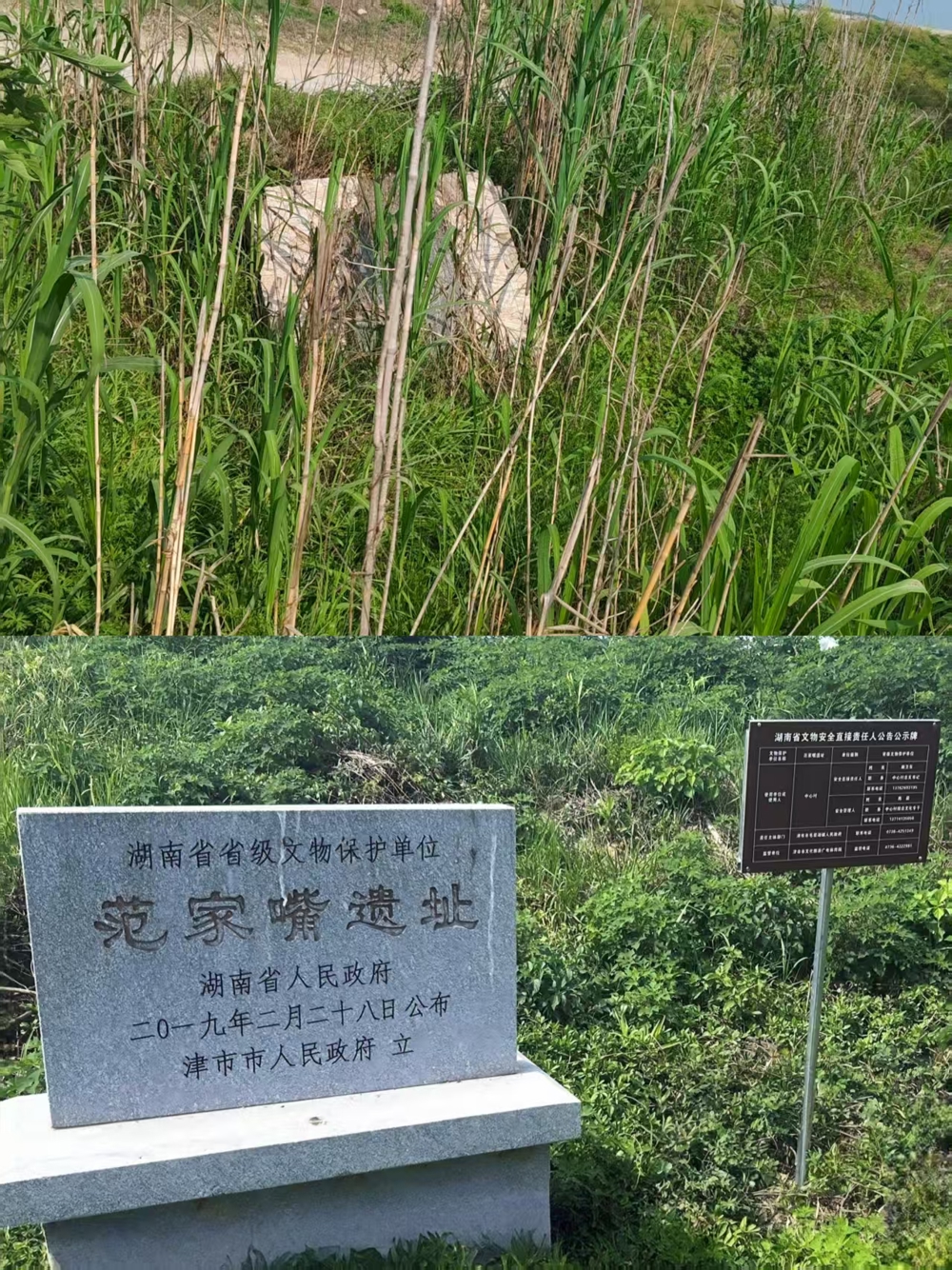 微信图片_20250806154157