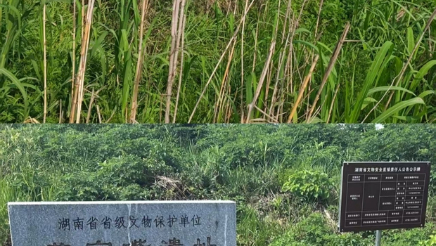 代表建议+检察建议，让古墓遗址“梳妆”焕新颜