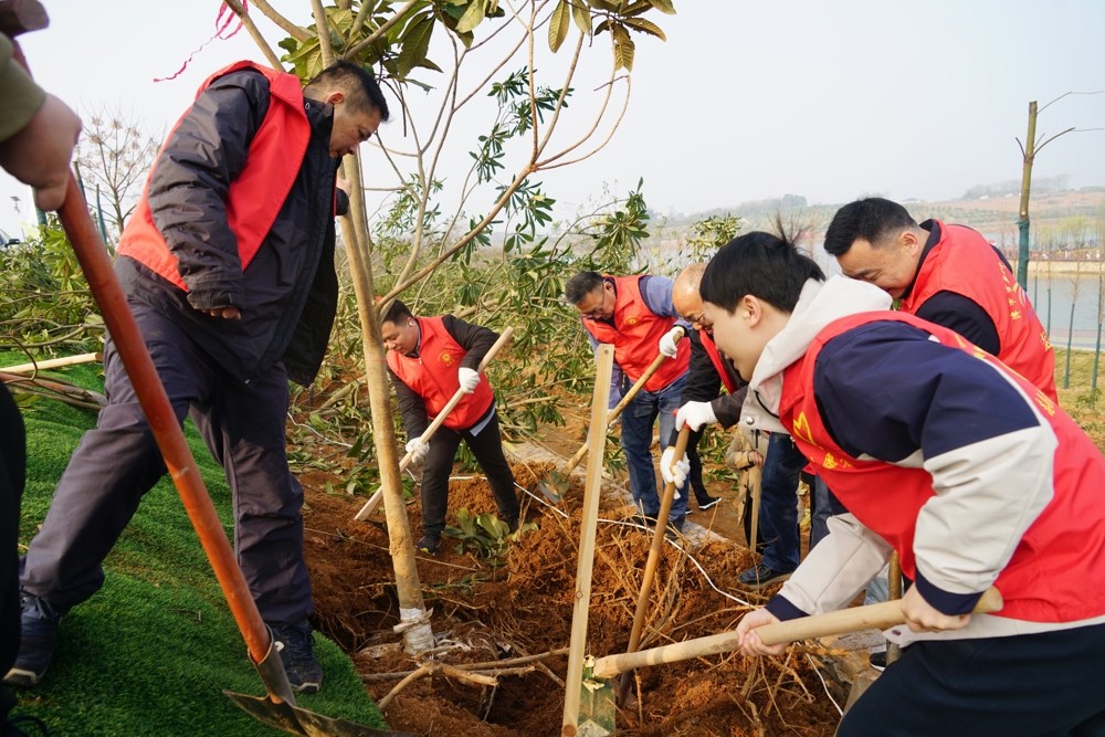 2c38d2dab9016dfc4a1575631c418e7