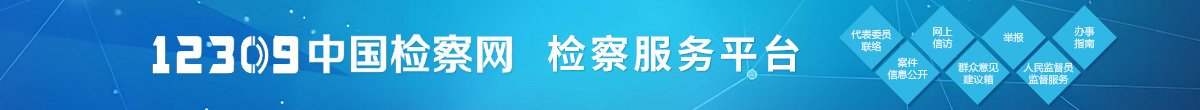 “一网通办”检察服务平台